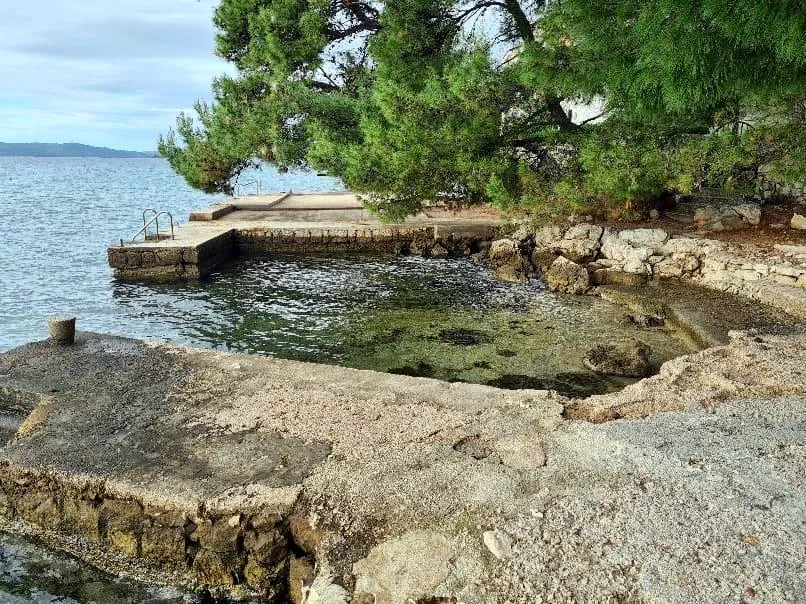 The bathing spot under the pines at the end of the street